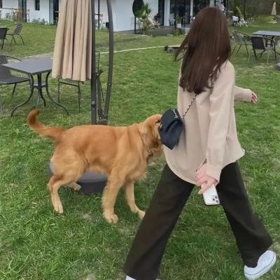 鬼魅情人
